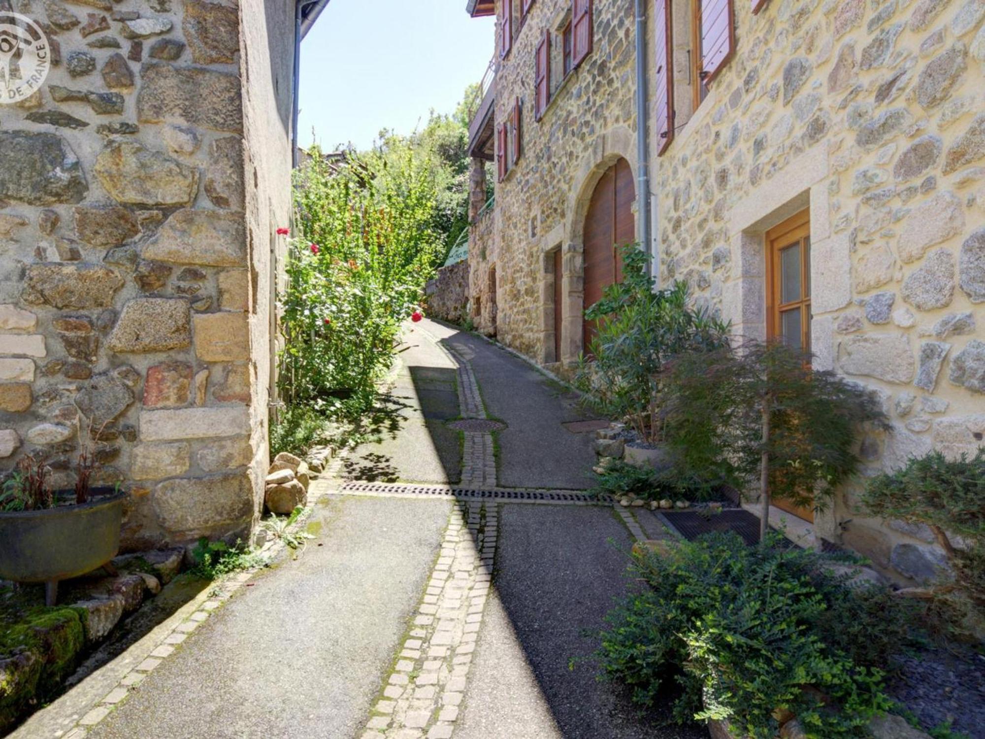 Gite De Charme Avec 2 Terrasses, Au Coeur Du Parc Du Pilat, Confortable Et Equipe - Fr-1-496-40 Malleval ภายนอก รูปภาพ